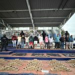 Policía golpea a Mafia Albanesa con operación Bremen, 26 detenidos y millonaria afectación