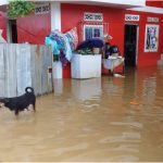 Gobierno declara emergencia nacional por 60 días debido a las lluvias en Ecuador