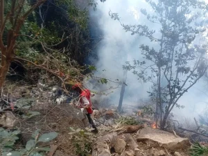 Los accidentes aéreos que han causado la muerte de funcionarios en Ecuador