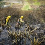 Incendio forestal en Rayocucho está controlado tras afectar 250 hectáreas en Quito