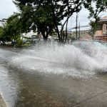 Guayaquil amaneció con calles inundadas y caída de un árbol tras las lluvias
